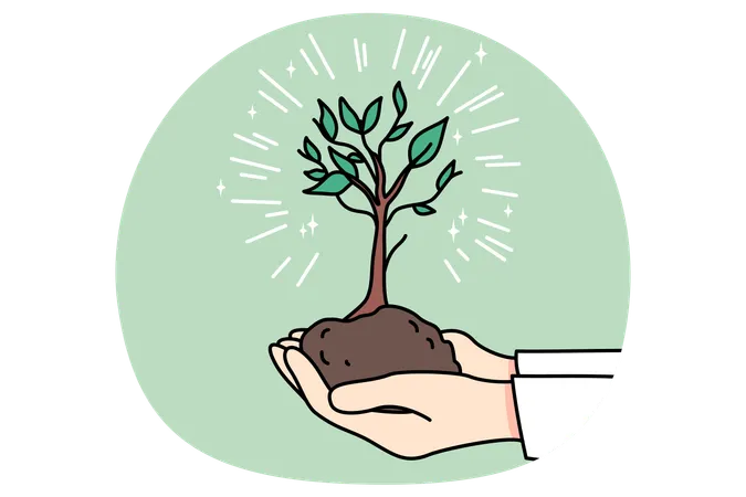 Person holding tree in soil in hands  Illustration