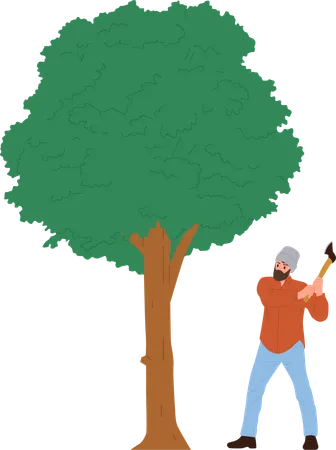 Personaje de hombre leñador talando un árbol  Ilustración