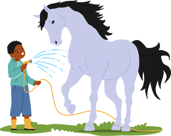 Un personnage joyeux de petit garçon lave joyeusement un cheval content avec un tuyau dans un champ d'été ensoleillé  Illustration