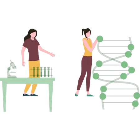 As Meninas Estao Trabalhando Na Ciencia Do DNA Ilustração