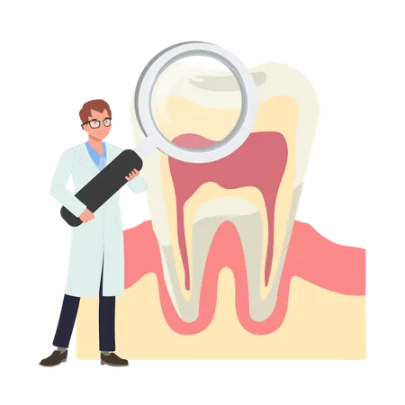 Pesquisa de dentista masculino sobre dentes  Ilustração