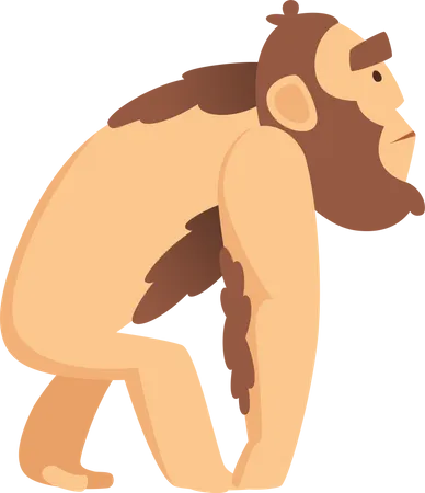 Biologia Evolucao Homo Sapiens Ilustração