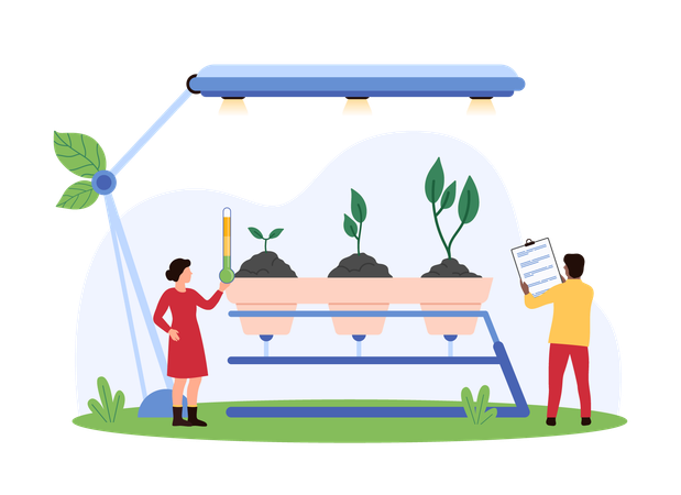 Pessoas trabalhando na agricultura ecológica  Ilustração