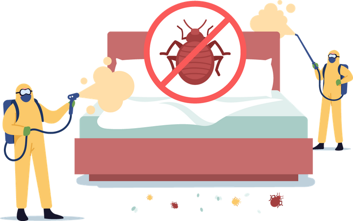 Pest Control Exterminators Doing Room Disinfection against Bed Bugs  Illustration