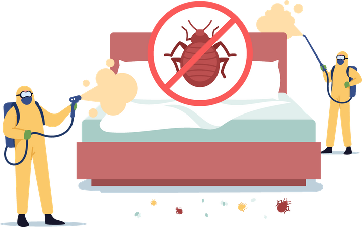 Pest Control Exterminators Doing Room Disinfection against Bed Bugs  Illustration