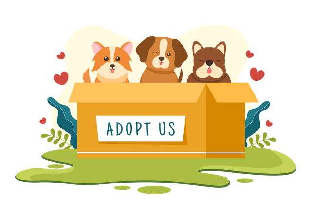 Pet Adopt  일러스트레이션