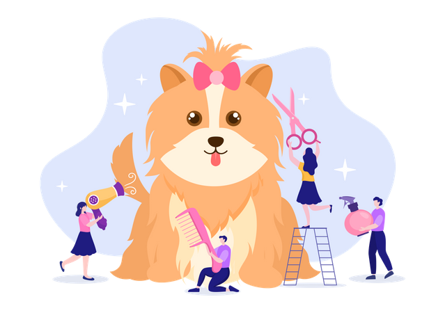 Pet Beauty Salon  Illustration