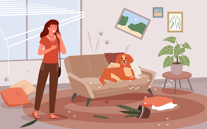 Pet Behavior  Illustration