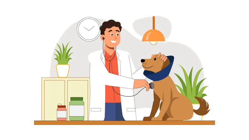 Pet Care Clinic  Illustration