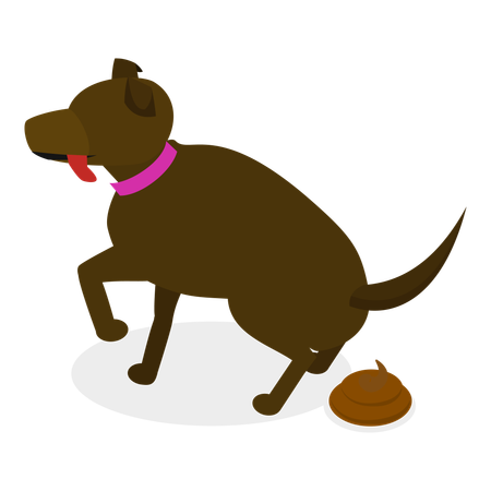 Pet Care  Illustration