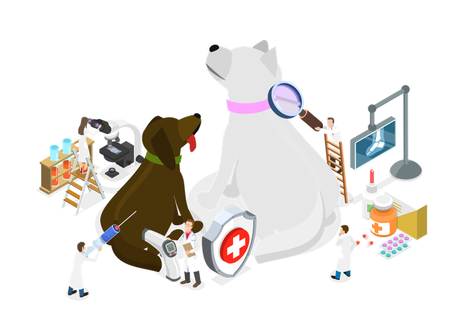 Pet Care  Illustration