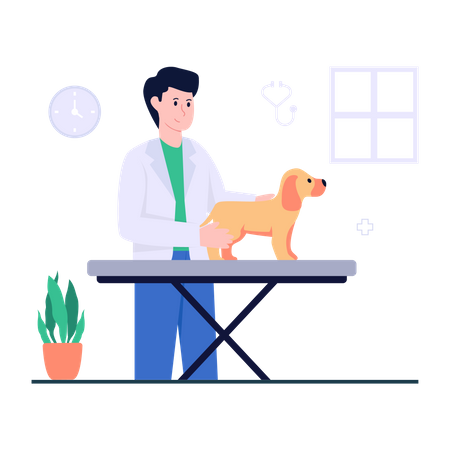 Pet Doctor  Illustration