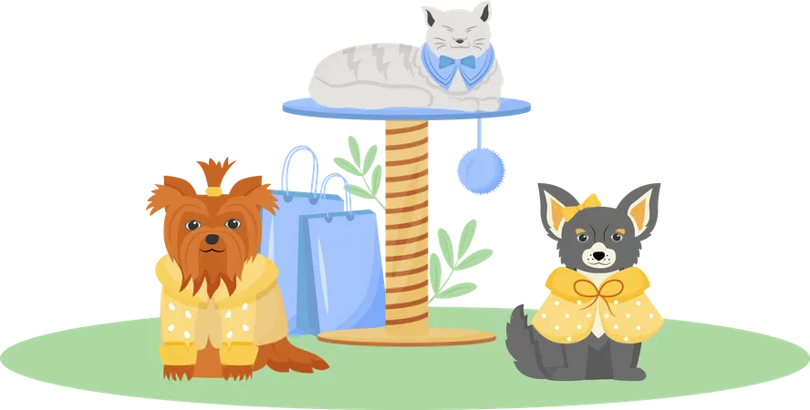Pet fashion Illustration