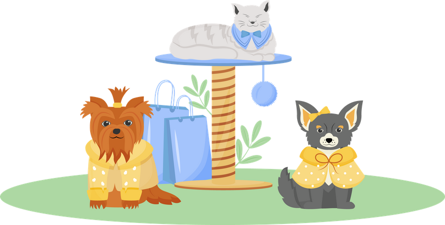 Pet fashion  Illustration