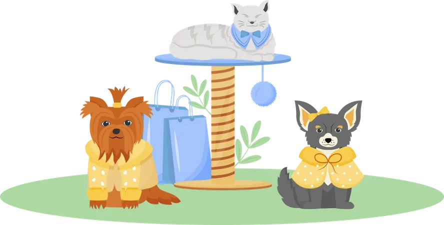 Pet fashion  Illustration