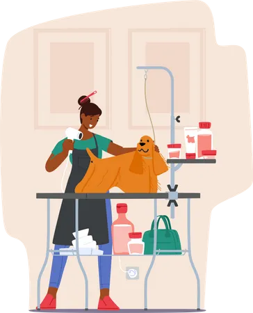 Groomer Drying Domestic Animal Hair Pet Standing On Table In Salon Dog Grooming Service Concept Hairdresser Female Character Holding Electric Hairdryer Equipment Cartoon People Vector Illustration Illustration