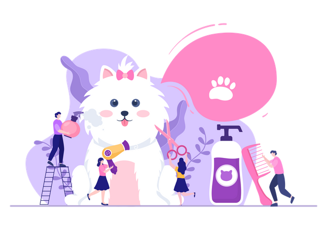 Pet Grooming for Cats  Illustration