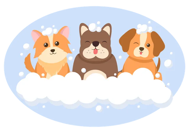 Best Premium Pet Grooming shop Illustration download in PNG & Vector format