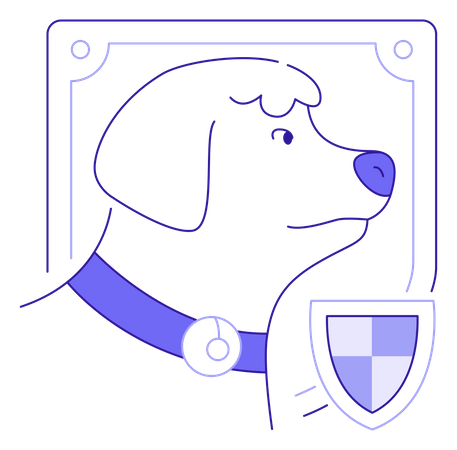 Pet Insurance Illustration