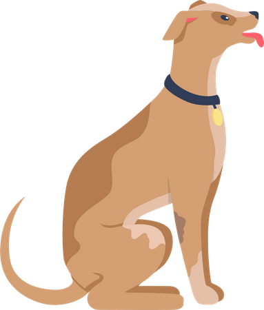 Pet training  Illustration