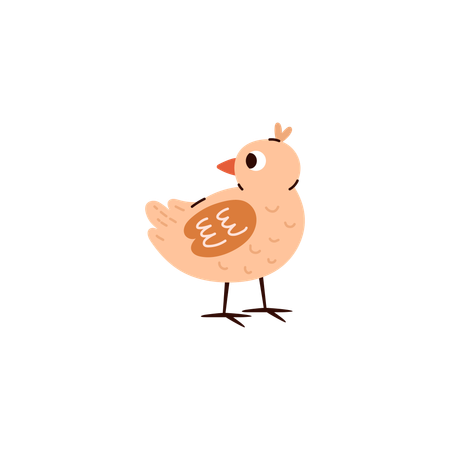 Petit bébé oiseau de volaille  Illustration