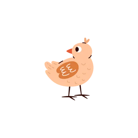 Petit bébé oiseau de volaille  Illustration