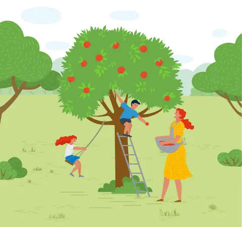 Petit enfant cueillant des fruits d'un arbre  Illustration