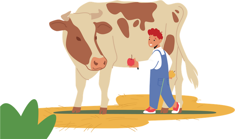 Petit garçon donnant une pomme à une vache  Illustration
