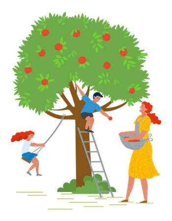 Petit garçon ramassant des fruits d'un arbre  Illustration