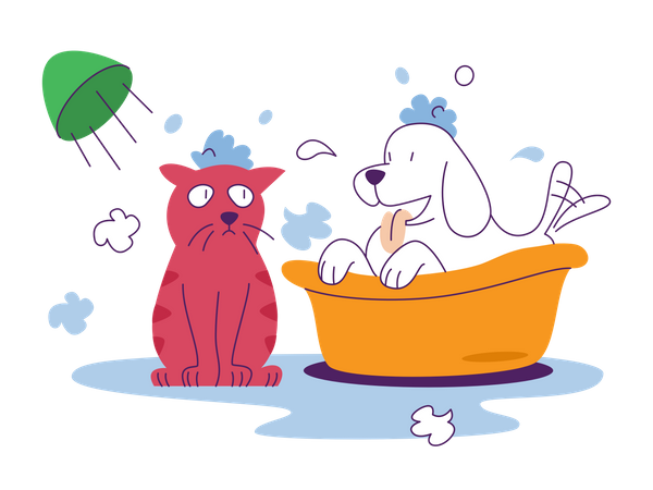 Pets Bath  Illustration