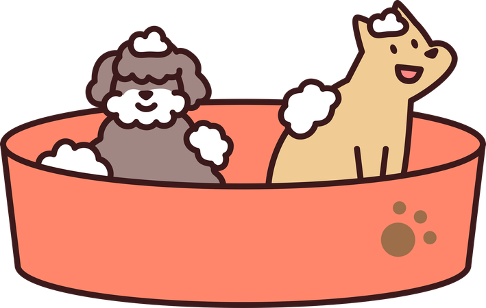 Pets Bath  Illustration