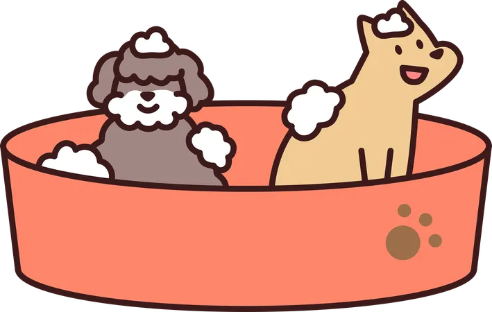 Pets Bath  Illustration