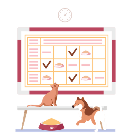 Pets food schedule  Illustration