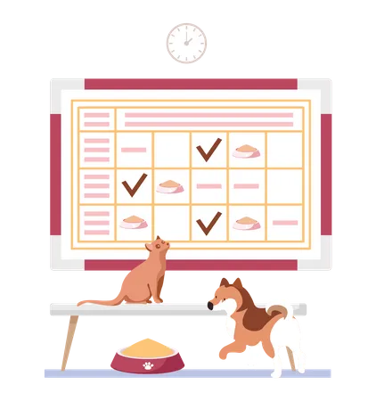 Pets food schedule  Illustration