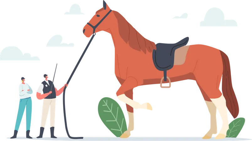 Pferdetraining durch Jockey  Illustration