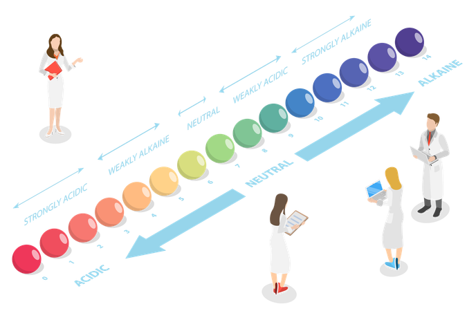 PH Scale and Acid-base Balance  Illustration