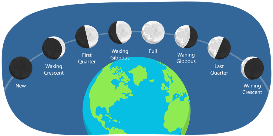 Phases de lune  Illustration