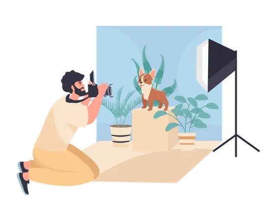 Photographie animalière  Illustration