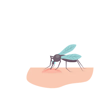 Picada de mosquito  Ilustração