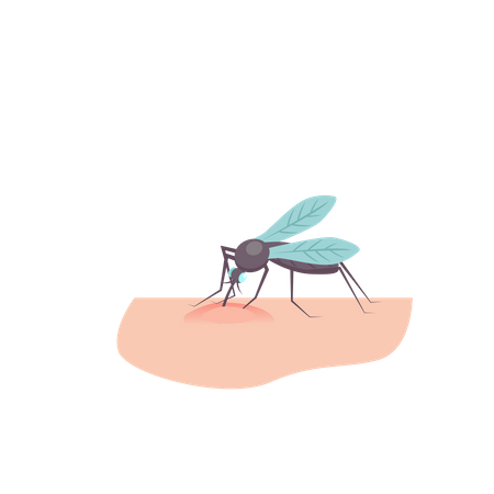 Picadura de mosquito  Ilustración