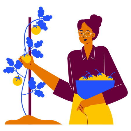 Picking vegetables  Illustration