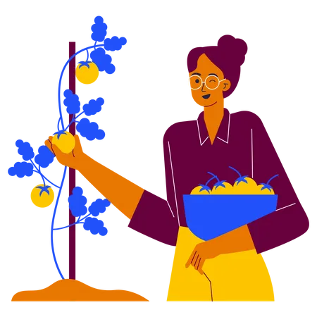 Picking vegetables  Illustration