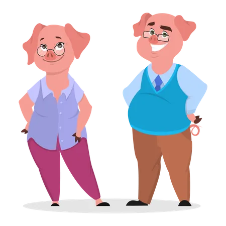 Pig couple in clothes  Illustration