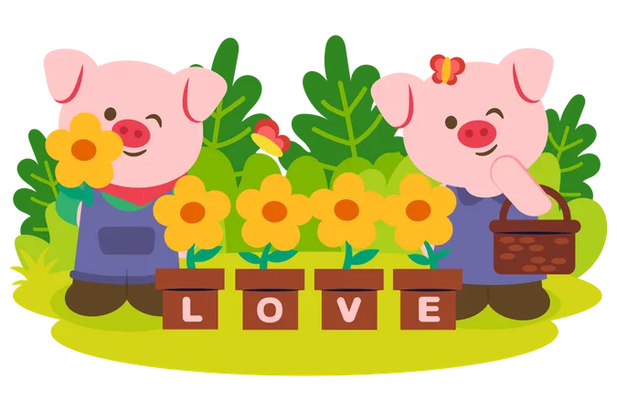 Lovely Pig Couple With Sun Flower Pot In Park Animal Cartoon Character Vector Illustration Illustration