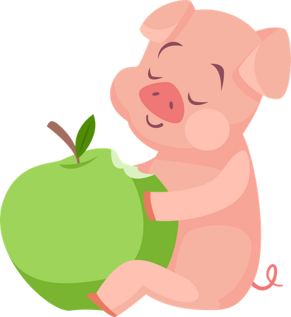 Pig eating apple  Illustration