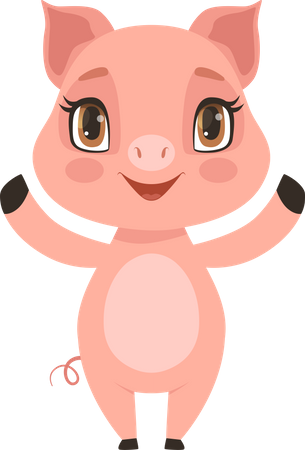 Pig  Illustration