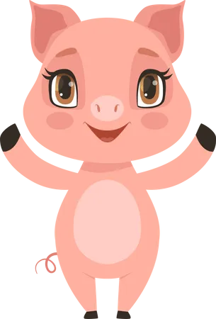 Pig  Illustration