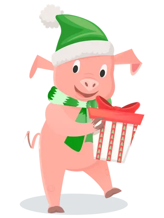 Pig in green scarf and hat with gift box  Illustration