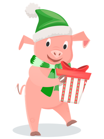 Pig in green scarf and hat with gift box  Illustration