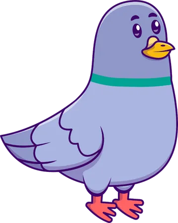 Pigeon Bird  Illustration